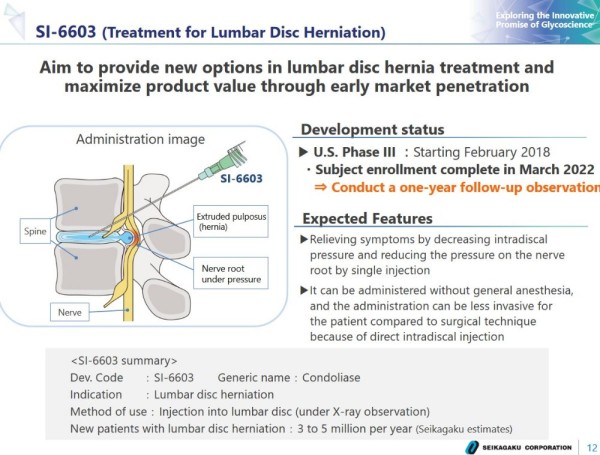 Seikagaku Corporation_SI-6603 - hernie discale lombaire.jpg